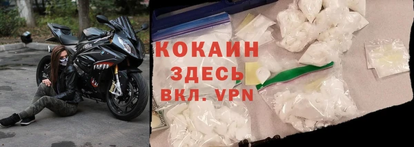 сатива Белокуриха
