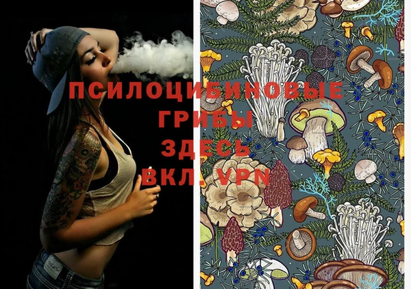 прущая мука Белоозёрский