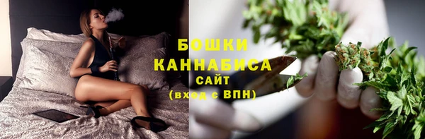 сатива Белокуриха