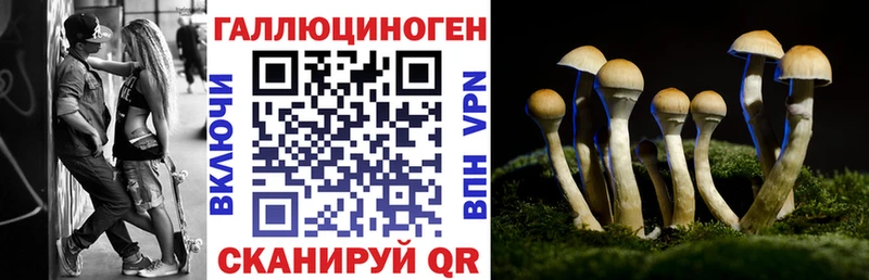 Псилоцибиновые грибы прущие грибы  Горно-Алтайск 